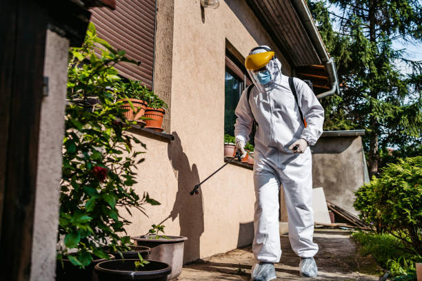 Best Rodent Control Near Me  in Columbia, TN
