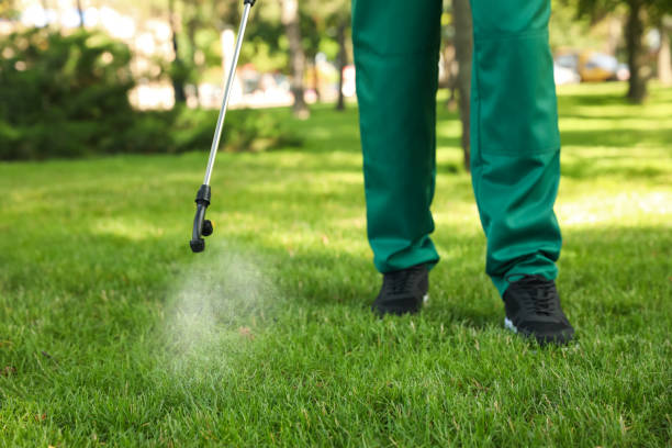 Best Mosquito Control Services  in Columbia, TN