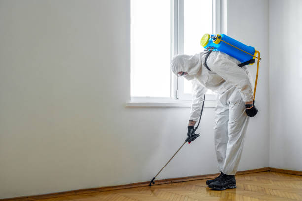 Best Affordable Pest Control Services  in Columbia, TN