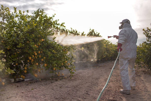 Best Pest Control for Businesses  in Columbia, TN