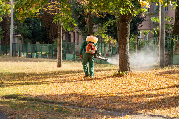 Best Local Pest Control Services  in Columbia, TN