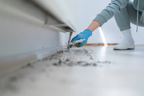 Best Affordable Pest Control Services  in Columbia, TN